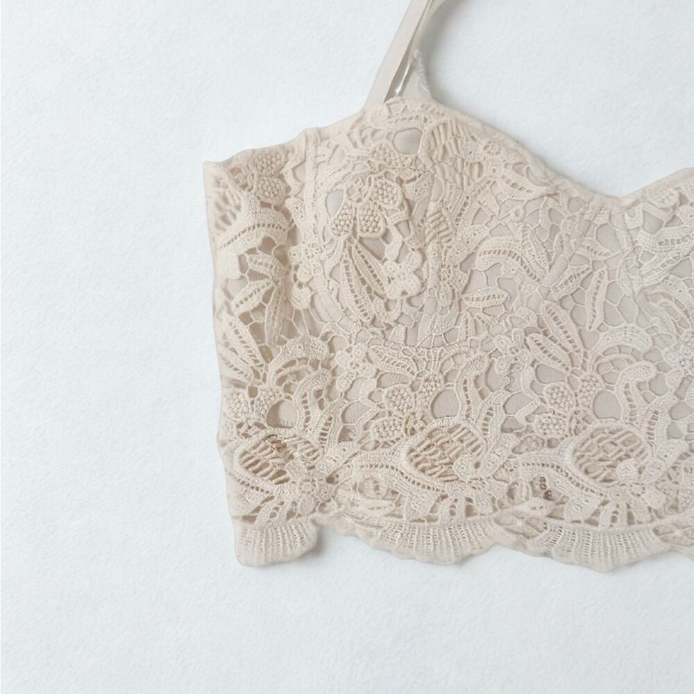Papaya Lace Top in Cream
